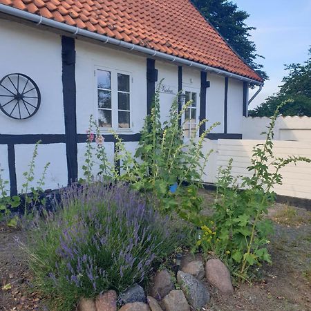 Violen Daire Åkirkeby Dış mekan fotoğraf
