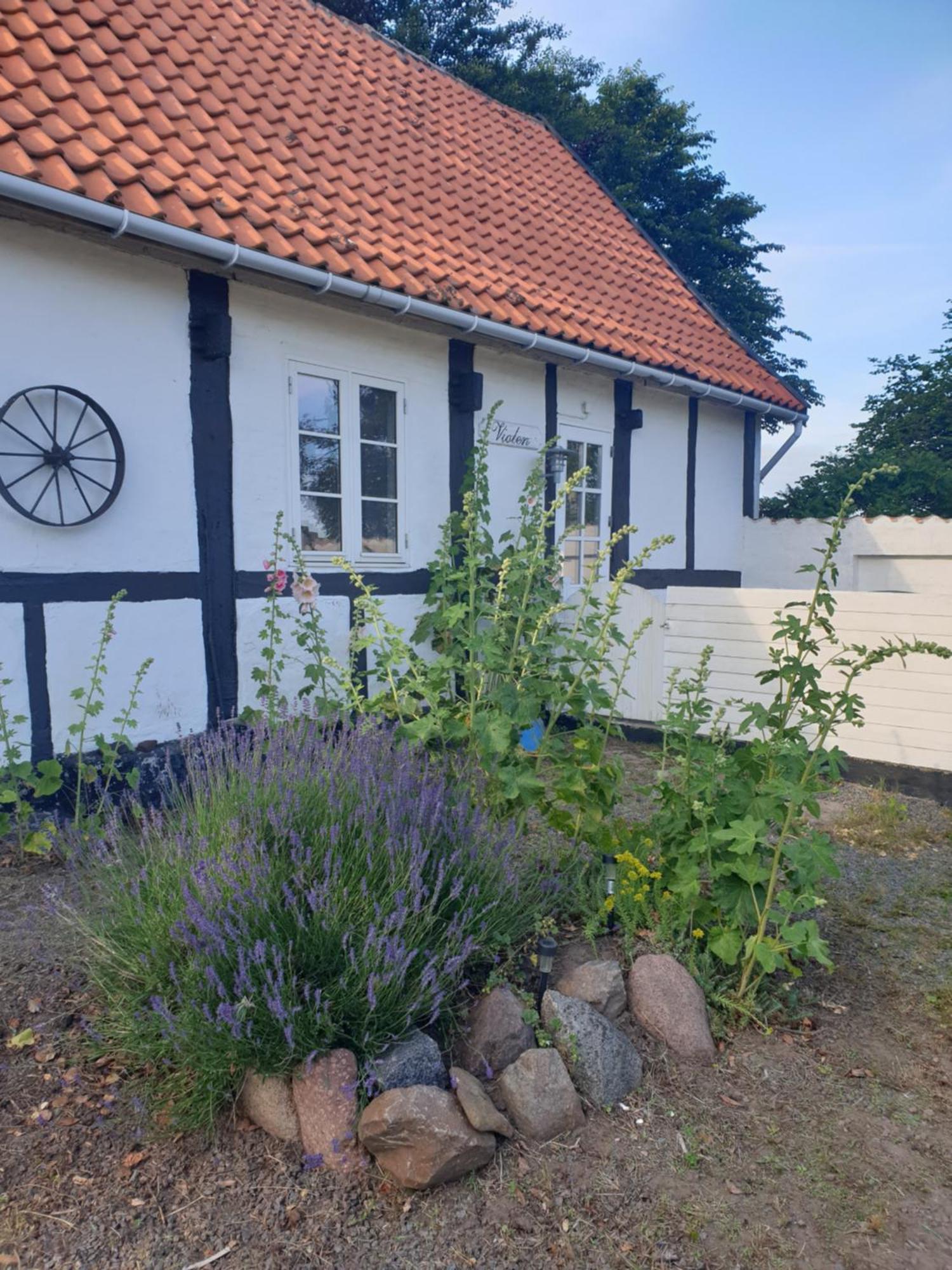 Violen Daire Åkirkeby Dış mekan fotoğraf